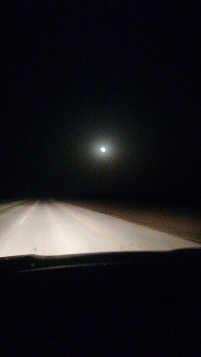 مشاركاتي في أنت الراصد