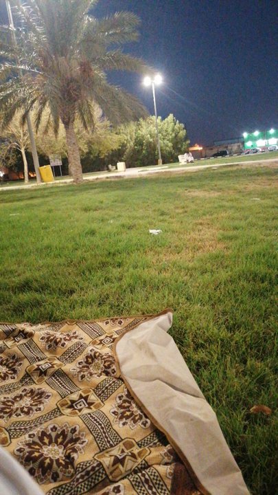 مشاركاتي في أنت الراصد