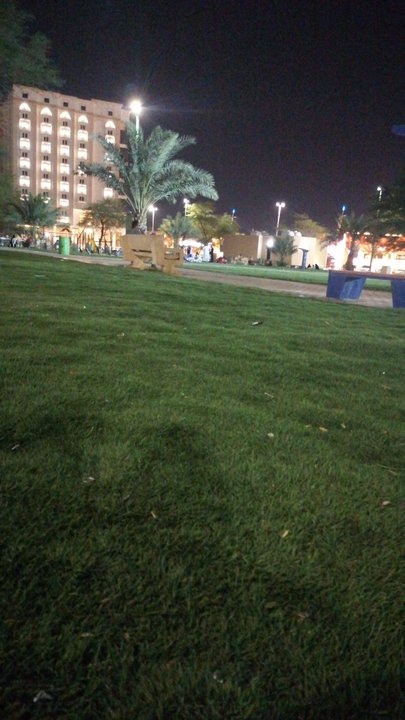 مشاركاتي في أنت الراصد