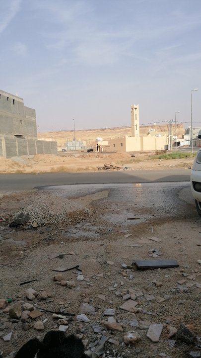 مشاركاتي في أنت الراصد