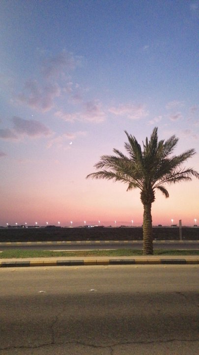 مشاركاتي في أنت الراصد