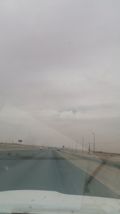 مشاركاتي في أنت الراصد