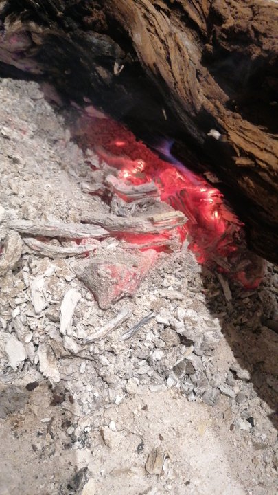 مشاركاتي في أنت الراصد