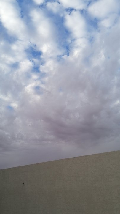 مشاركاتي في أنت الراصد