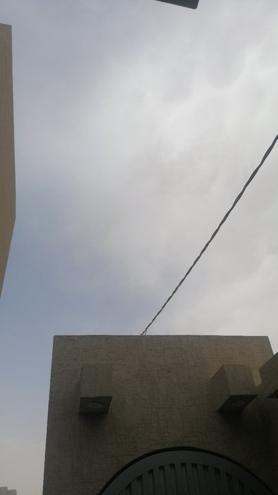 مشاركاتي في أنت الراصد