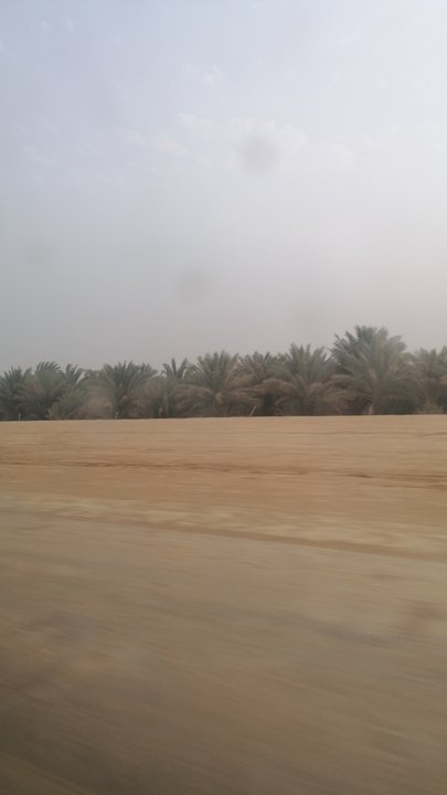 مشاركاتي في أنت الراصد