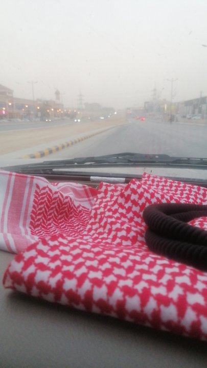 مشاركاتي في أنت الراصد