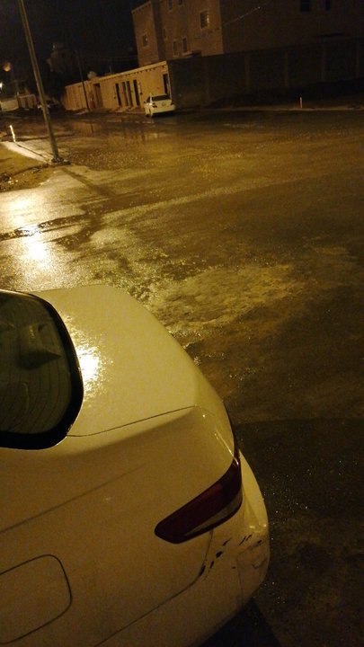 مشاركاتي في أنت الراصد