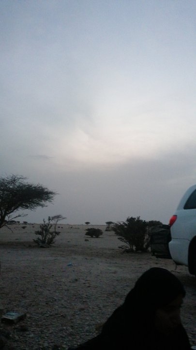 مشاركاتي في أنت الراصد