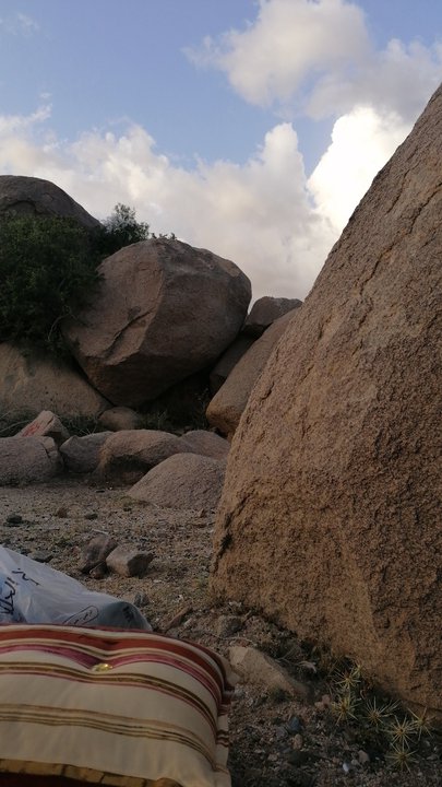 مشاركاتي في أنت الراصد