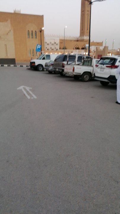 مشاركاتي في أنت الراصد