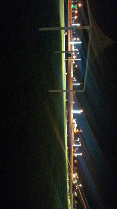 مشاركاتي في أنت الراصد