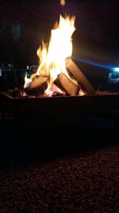 مشاركاتي في أنت الراصد