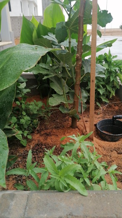 Mes publications Crowdsourcing