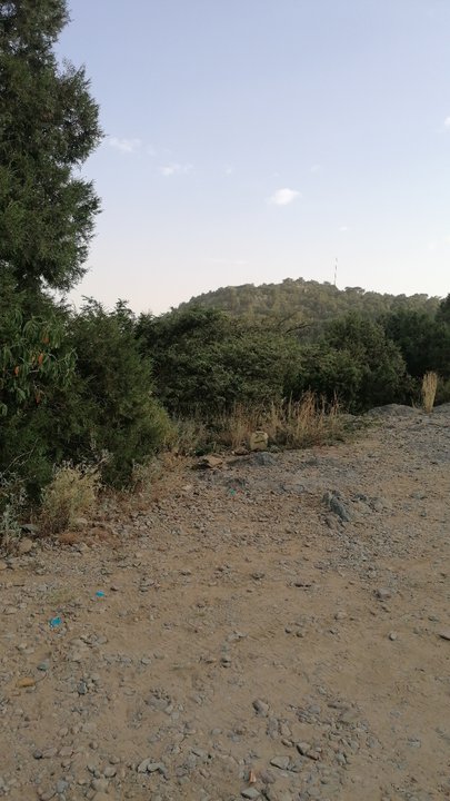 My Crowdsourcing Posts