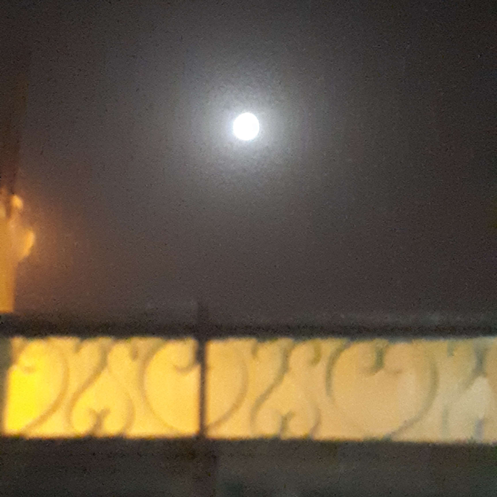 مشاركاتي في أنت الراصد