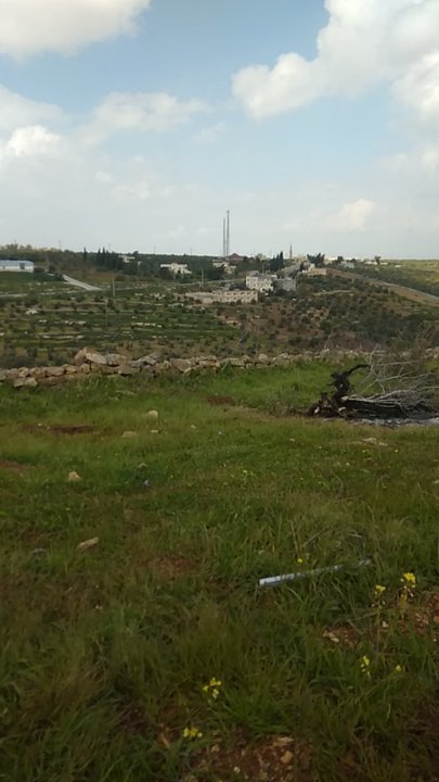 مشاركاتي في أنت الراصد