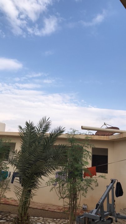 مشاركاتي في أنت الراصد