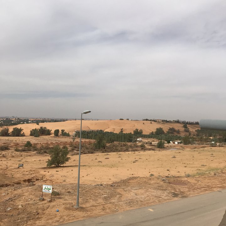 مشاركاتي في أنت الراصد