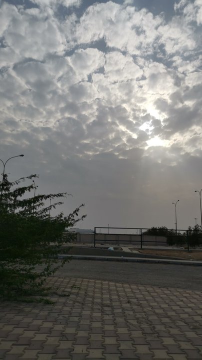 مشاركاتي في أنت الراصد