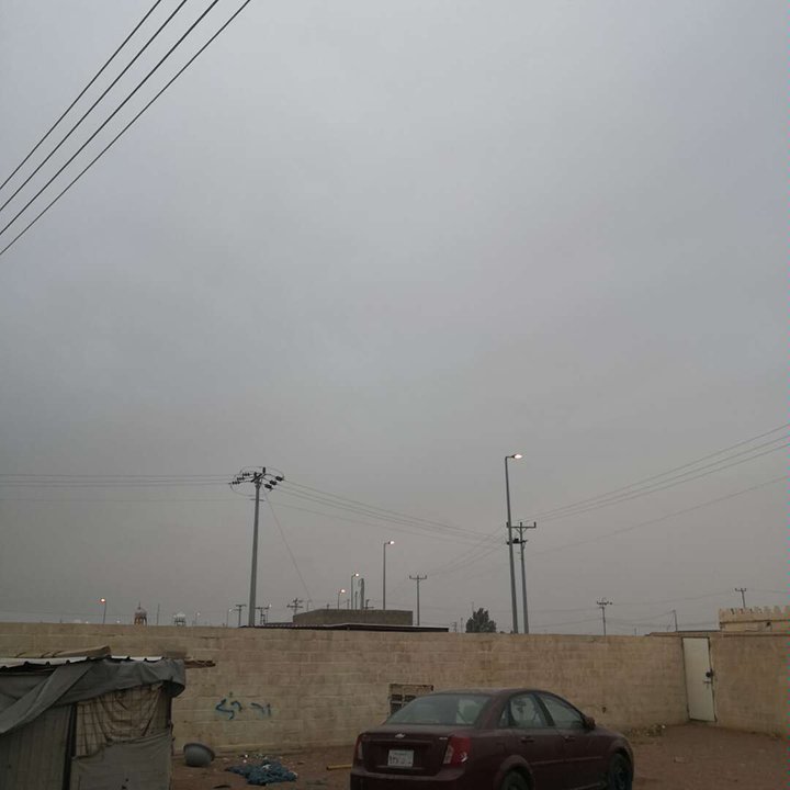 مشاركاتي في أنت الراصد