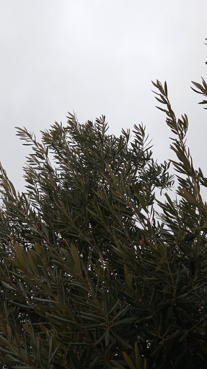 My Crowdsourcing Posts