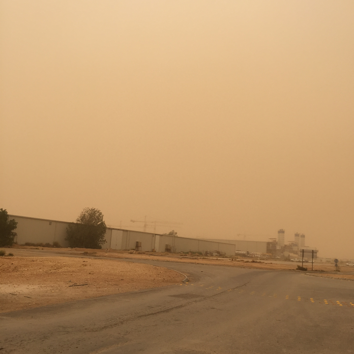 مشاركاتي في أنت الراصد