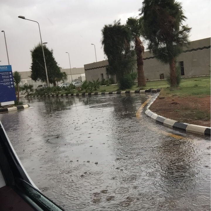 مشاركاتي في أنت الراصد