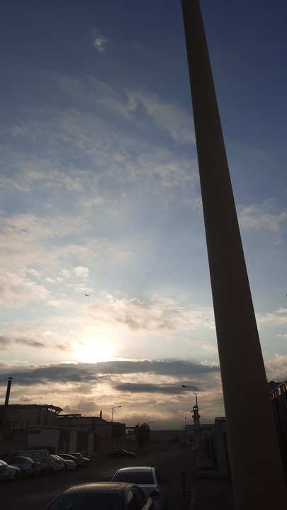 مشاركاتي في أنت الراصد