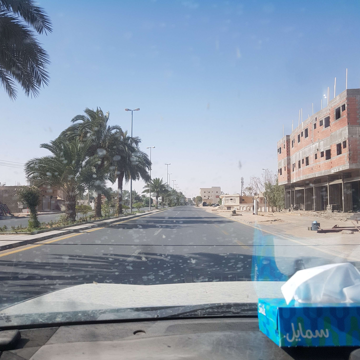 مشاركاتي في أنت الراصد