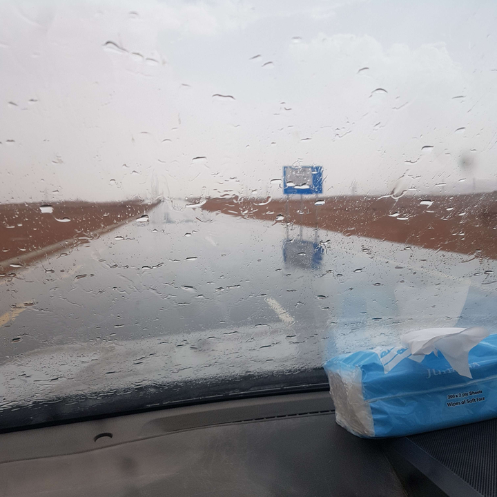 مشاركاتي في أنت الراصد