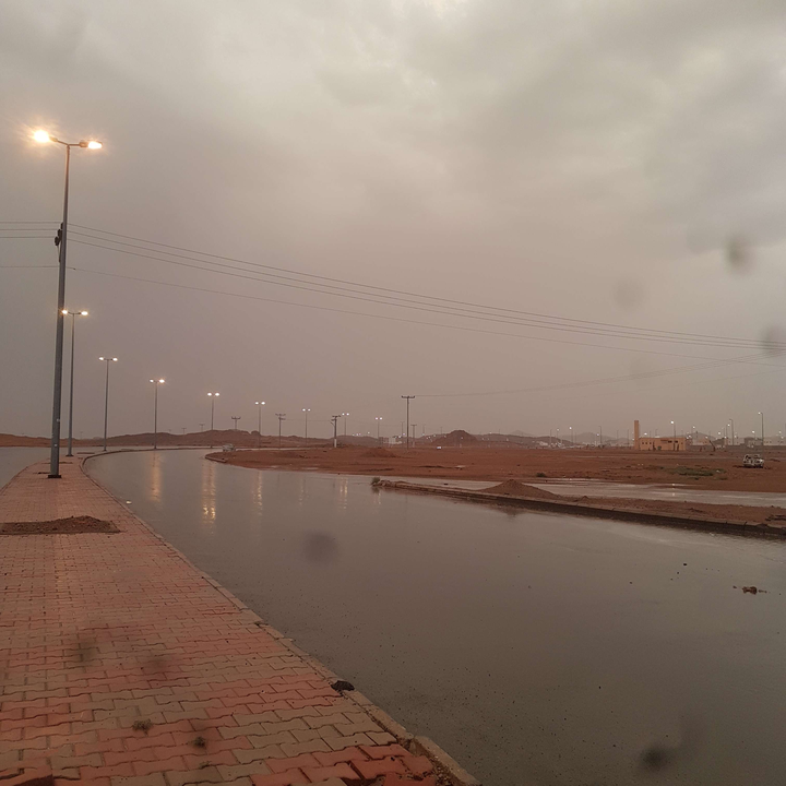 مشاركاتي في أنت الراصد