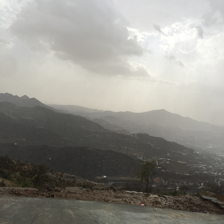 مشاركاتي في أنت الراصد