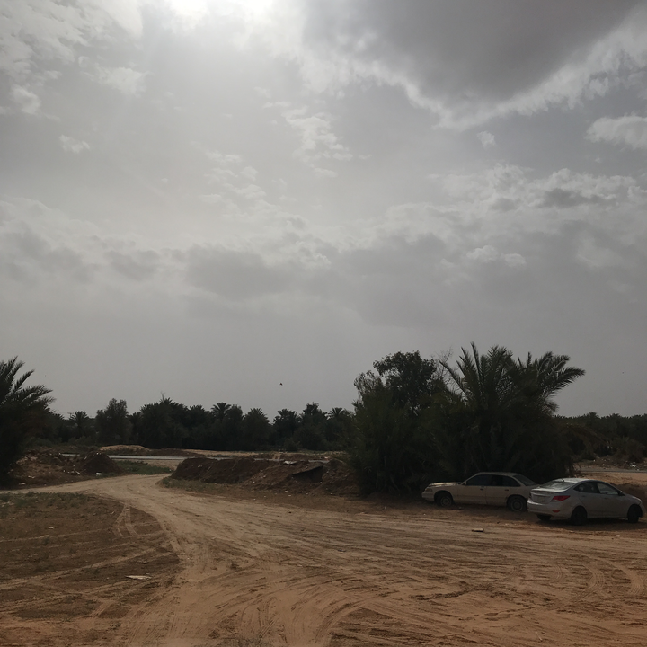 مشاركاتي في أنت الراصد