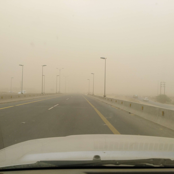 مشاركاتي في أنت الراصد