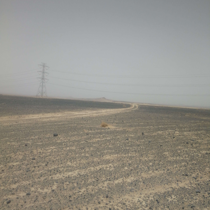 مشاركاتي في أنت الراصد