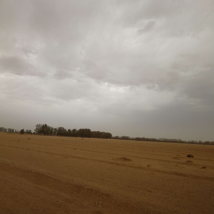 مشاركاتي في أنت الراصد