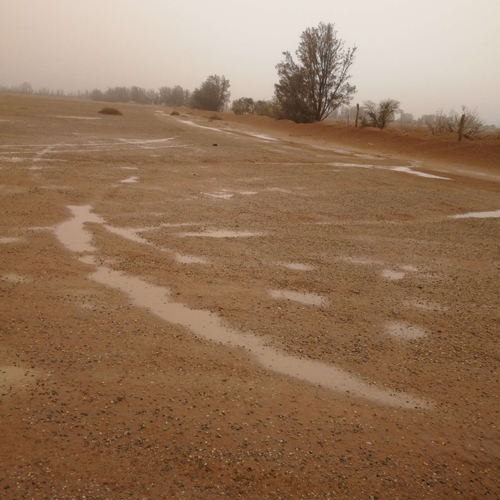 مشاركاتي في أنت الراصد