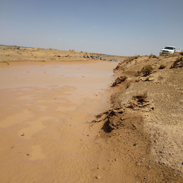 مشاركاتي في أنت الراصد