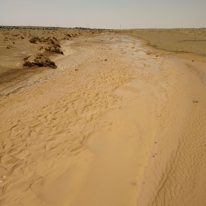 مشاركاتي في أنت الراصد