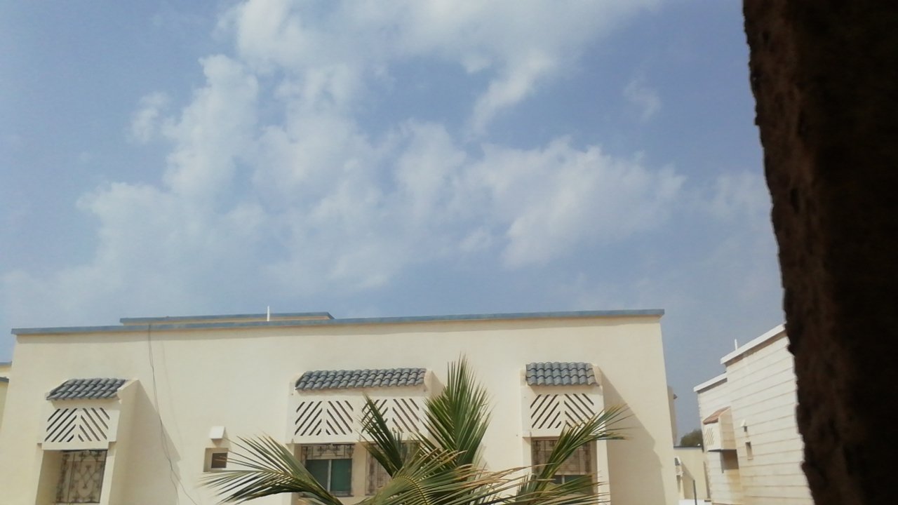 مشاركاتي في أنت الراصد