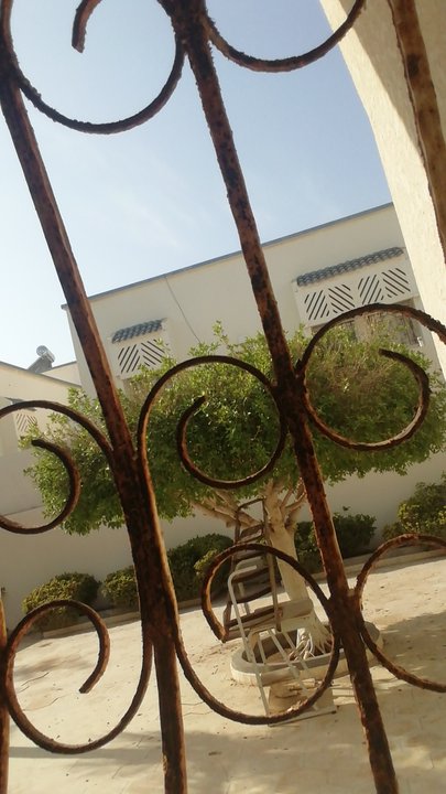 مشاركاتي في أنت الراصد