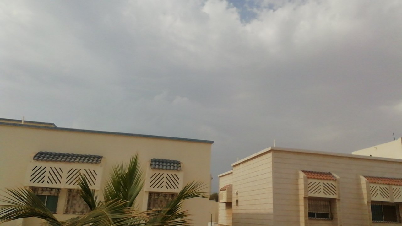 مشاركاتي في أنت الراصد