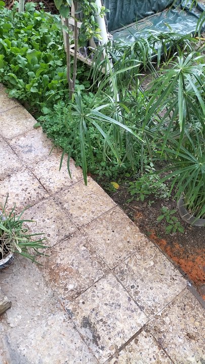 My Crowdsourcing Posts