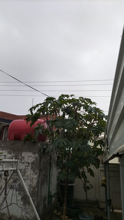 My Crowdsourcing Posts