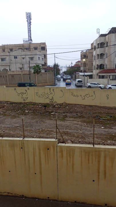 مشاركاتي في أنت الراصد