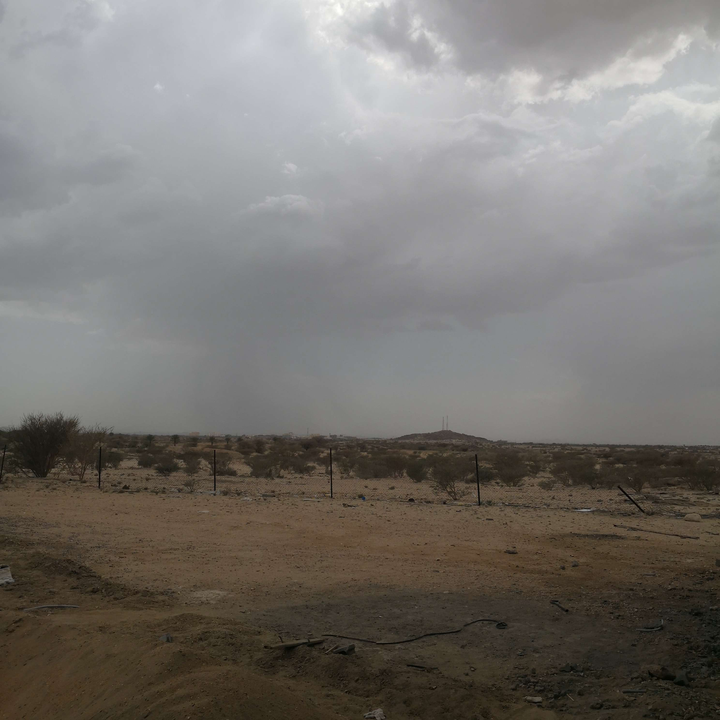 مشاركاتي في أنت الراصد