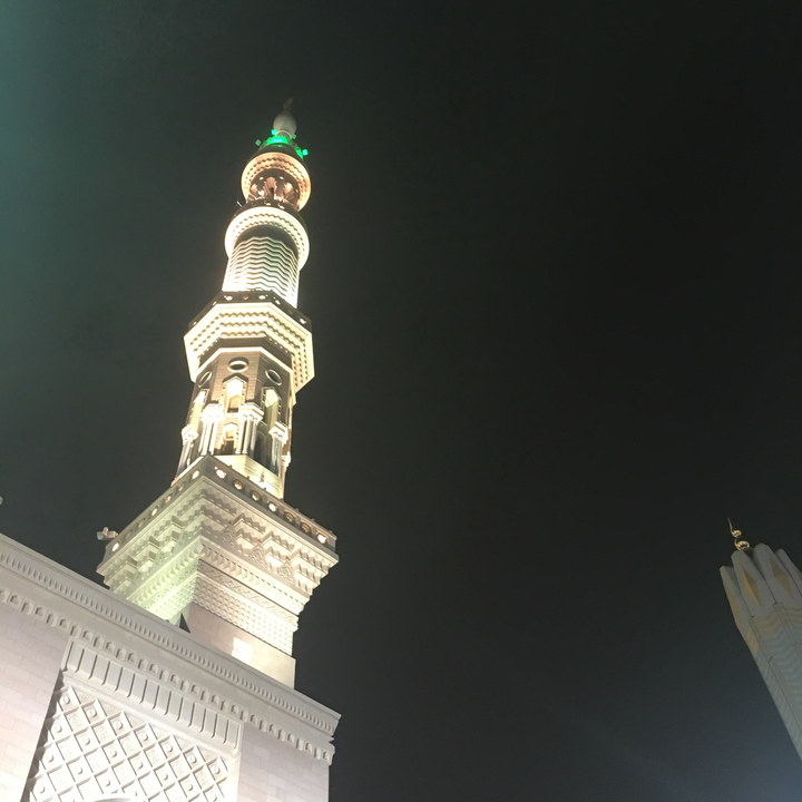 مشاركاتي في أنت الراصد