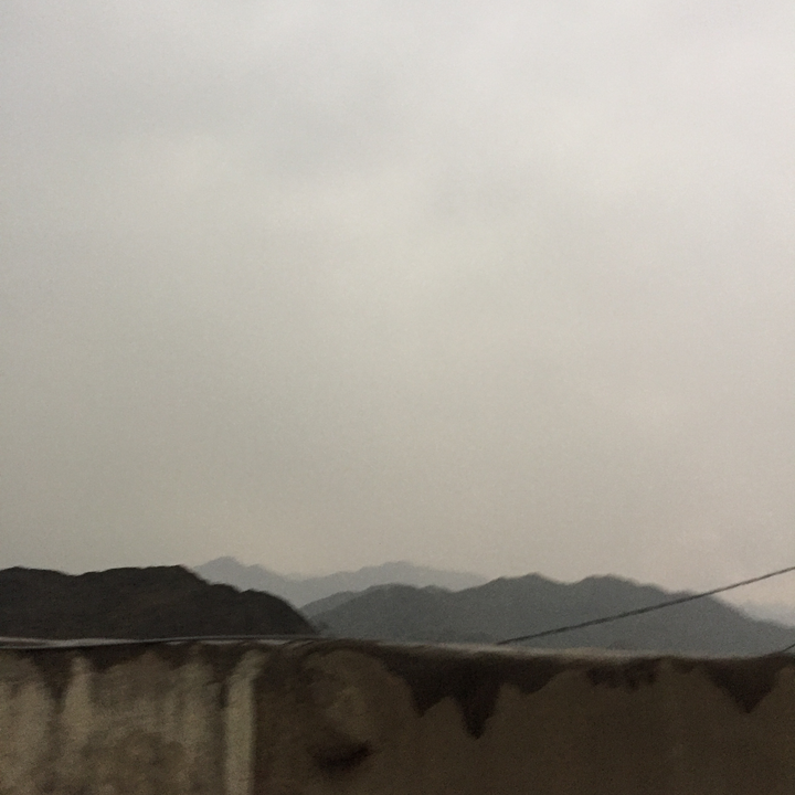 مشاركاتي في أنت الراصد