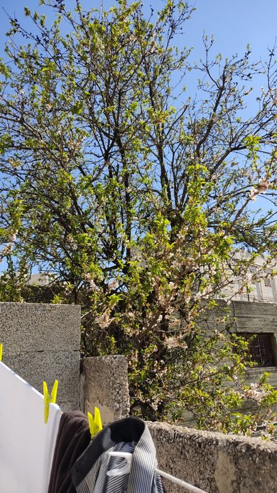 Mes publications Crowdsourcing